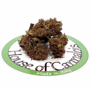 CBD SourDiesel Erba Legale