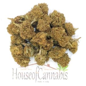 CBD Mango ErbaLegale
