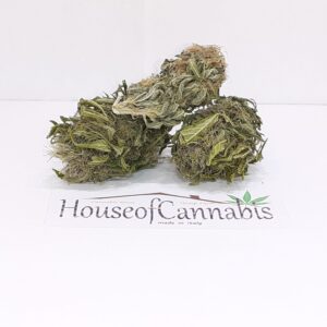 Cbd bluedream erba legale biologica