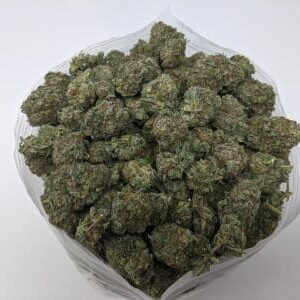 kit cbd hash 50g