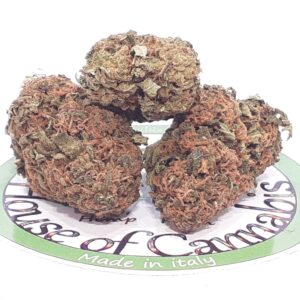 Cbd Diesel Outdoor Erba legale