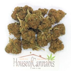 CBD Zkittlez Erba Legale