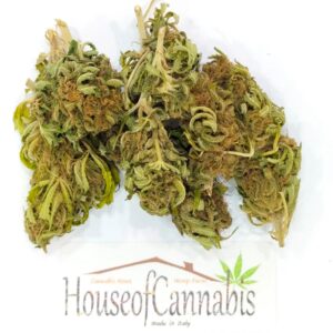 CBD Cannadiol Erba Legale