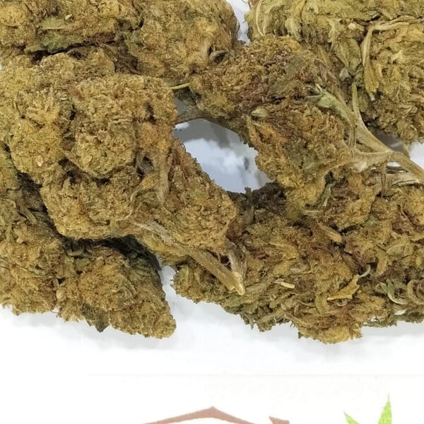 CBD Kiwi Herb Legal