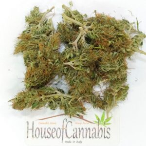 CBD Lemon Erba Legale