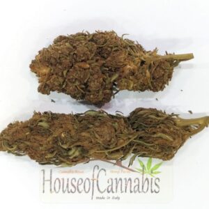 CBD Orange erba legale