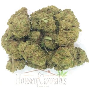 CBD Gorilla Erba Legale