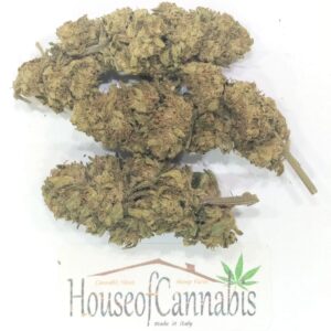 lemon erba legale cbg
